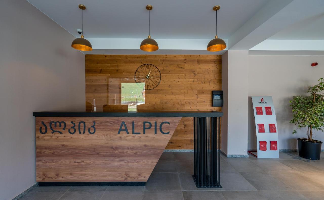 New Gudauri Alpic 406公寓 外观 照片